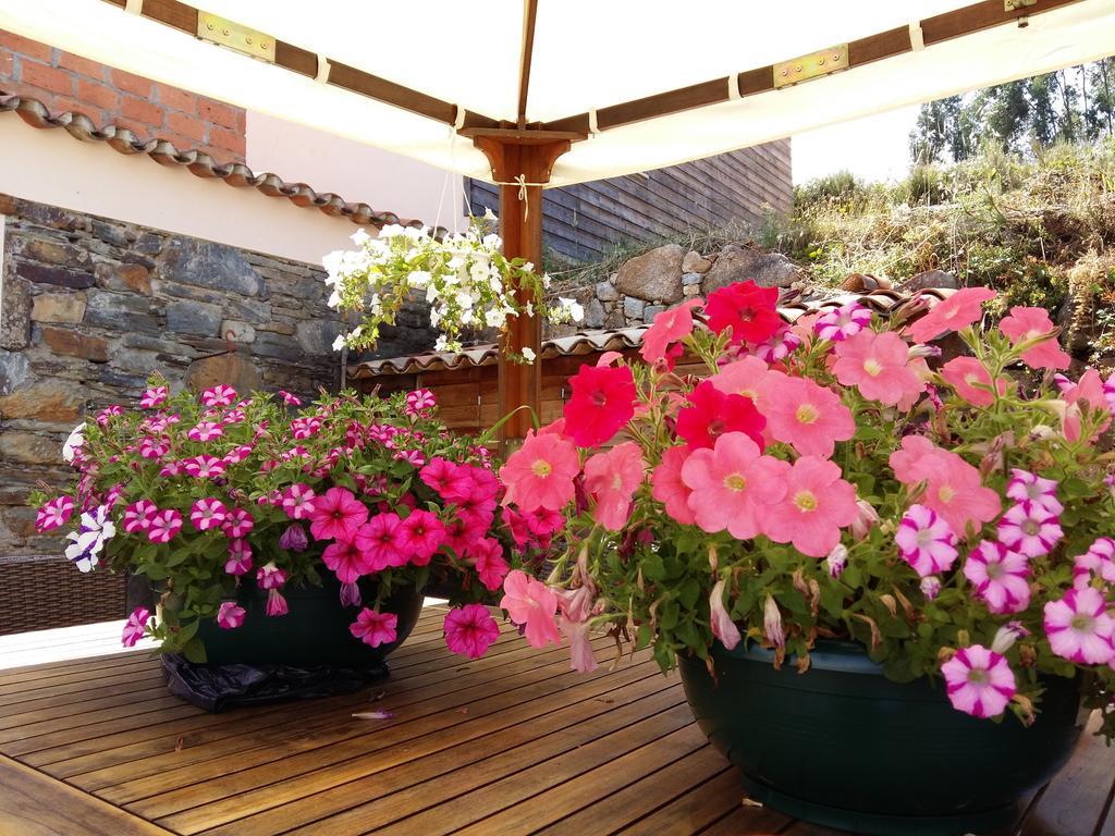 Quinta Casal Maio Hotel Sertã Buitenkant foto